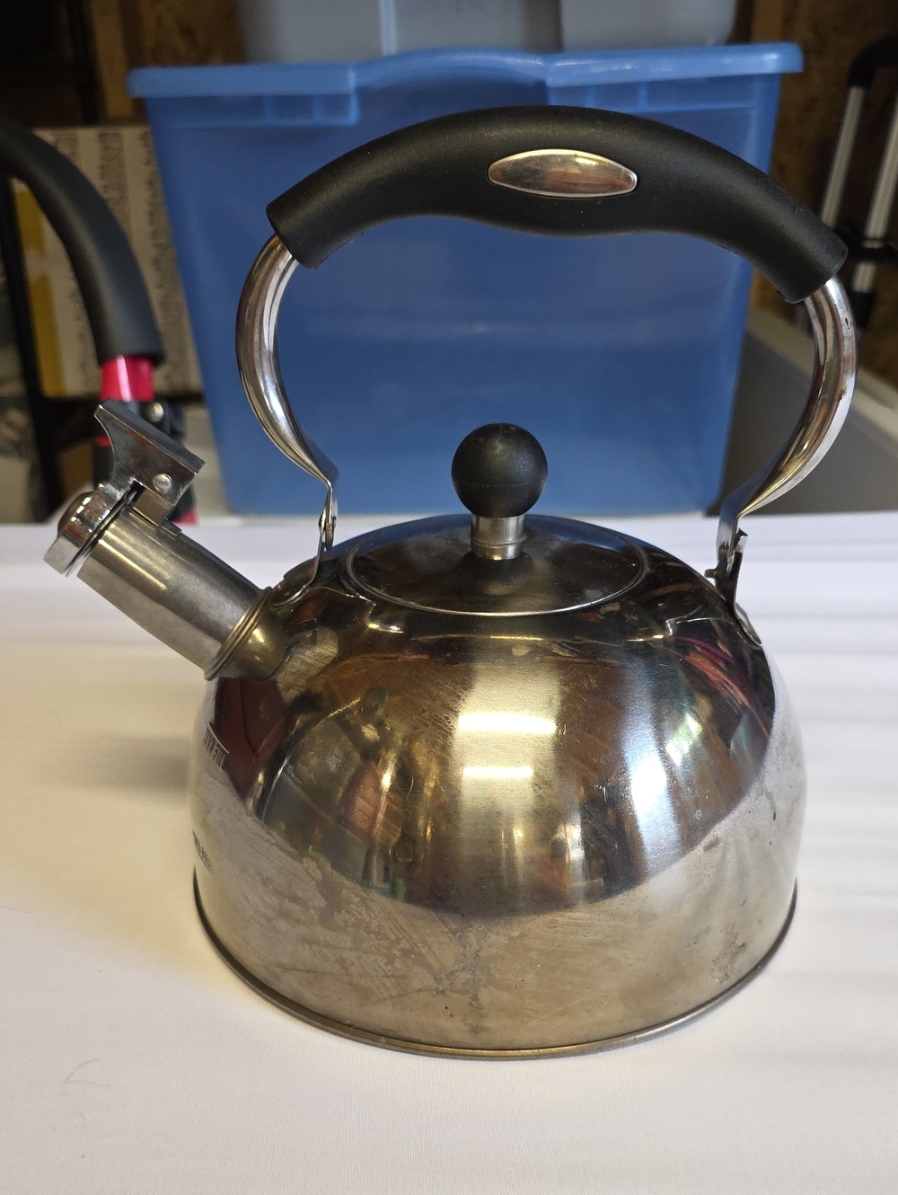 Stainless Steel Whistling Tea Kettle with Black Handle